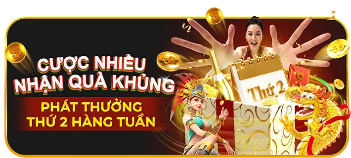 Hoàn trả thể thao hàng ngày/tuần VMAX