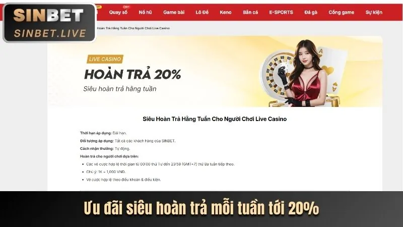 Trải nghiệm cá cược đa dạng VMAX